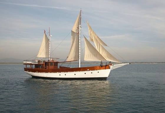 TrueLove Boat sailing